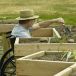 5 conseils essentiels pour jardiner en fauteuil roulant